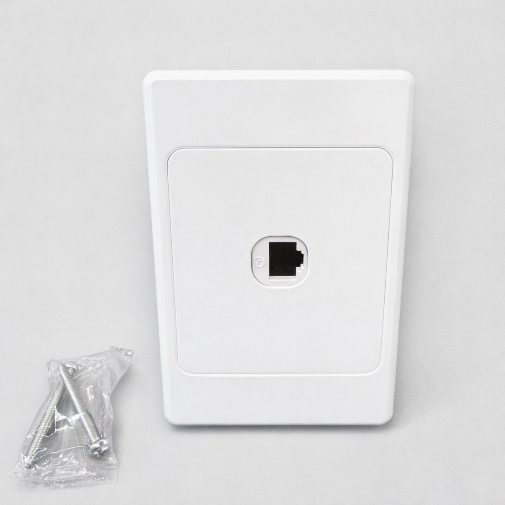Indoor Cat6 RJ45 Ethernet wall plate with mounting screws