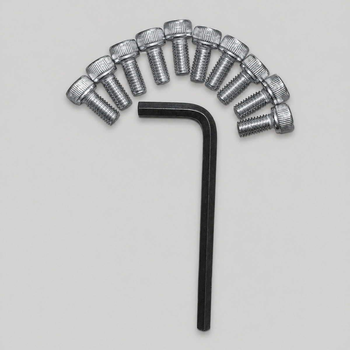 Ten M6 x 12mm stainless steel cap head bolts with Allen key for Starlink mounting kits and hardware installs.