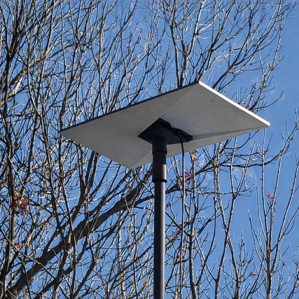 Starlink Gen 3 receiver mounted on Spacetek carbon fibre telescopic pole above caravan with clear blue sky and tree branches
